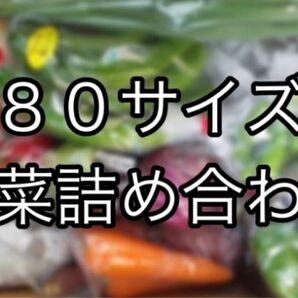 【大人気！！】80サイズ　野菜詰め合わせ　野菜ボックス　茨城県産