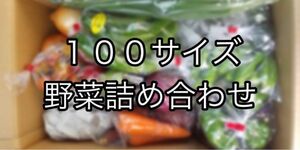 【野菜好きの方に！】100サイズ　野菜詰め合わせ　野菜ボックス　茨城県産