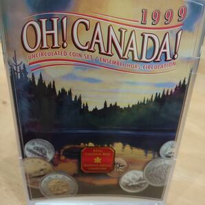 〇未使用品 1999年 カナダ CANADA 記念コイン 記念硬貨 ケース付き 人気の画像1