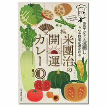 ご当地カレー 桂米團治の開運カレー 200g×2食お試しセット 化学調味料不使用_画像2