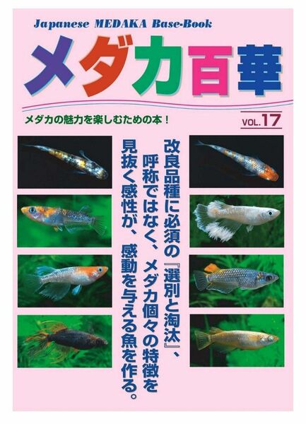 メダカ百華17　ピーシーズ メダカ百華Vol17