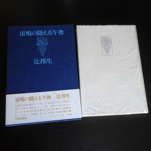 辻邦生 「雷鳴の聞える午後　ある生涯の七つの場所3」 中央公論社 / 昭和54年4月単行本初版・函・帯