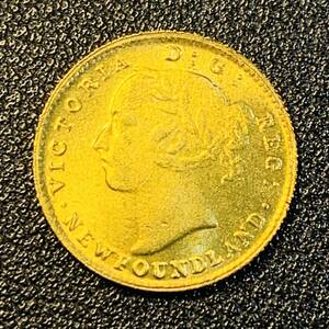 金貨　古銭　1870年　イギリス　ヴィクトリア女王　ニューファンドランド島　ドル　紋章　コイン　硬貨