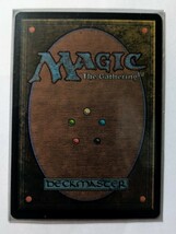 獅子将マギータfoil MTG 日本語版_画像2