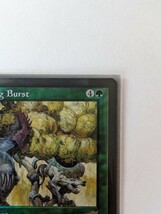 はじける子嚢Saproling Burst MTG英語版FoilNEM_画像4