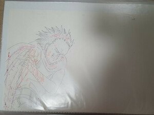  cell picture AKIRA autograph original picture 