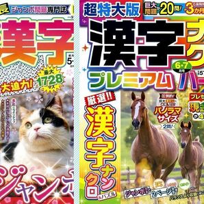 ▼パズル誌 (17) [134] 応募締切前 定価合計1140円 超特大漢字ナンクロ2冊の画像1