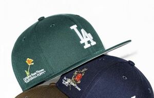 限定 NEWERA 59FIFTY NEW ERA Dodgers ロサンゼルス ドジャース 7 5/8 60.6cm