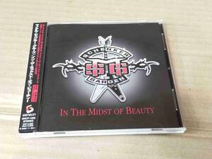 MSG SCHENKER BARDEN In The Midst Of Beauty GNCP-1026 国内盤 CD 帯付 90373