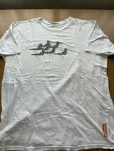 USA製 patagonia 半袖Tシャツ 染み込みプリント 鳥TEE パタゴニア Lsize_画像2
