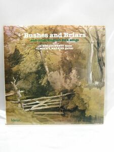 R1-039◆中古 現状品 BUSHES AND BRIARS JAMES GRIFFETT, TIMOTHY WALKER LP盤 レコード A66005