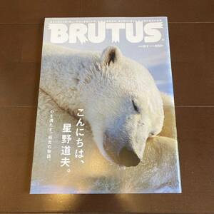  beautiful goods star . road Hara special collection BRUTUS ho kyokgma bear . raw animal nature blue tas magazine lBRUTUS