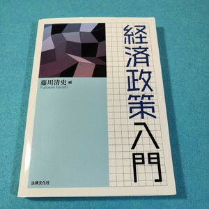 経済政策入門 藤川清史／編