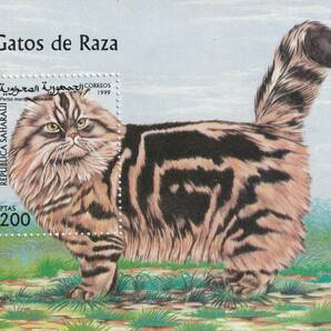 （サハラ）1999年猫小型シート（海外より発送、説明欄参照）の画像1