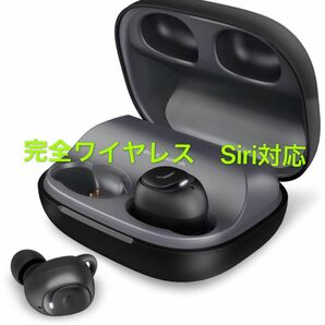 Bluetooth5.0 完全ワイヤレスイヤホン HiFi高音質 Siri対応