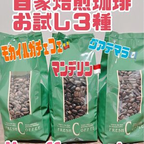 自家焙煎コーヒー豆　３種お試し飲み比べセット　各種200g 計600g