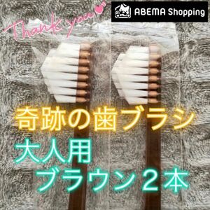 【新品】奇跡の歯ブラシ 大人用 ブラウン 公式正規品〔2本セット〕