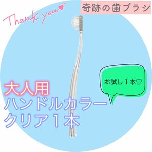 【新品】奇跡の歯ブラシ 大人用 クリア ピラミッド型 公式正規品〔1本〕