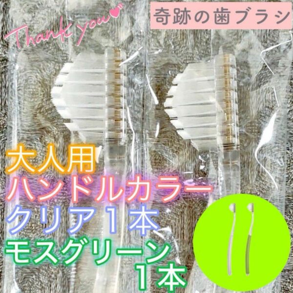 【新品】奇跡の歯ブラシ 大人用 モスグリーン&クリア ピラミッド型 公式正規品〔2本セット〕