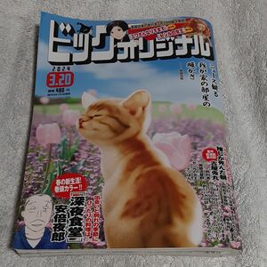 ビッグコミックオリジナル ２０２４年３月２０日号 （小学館）