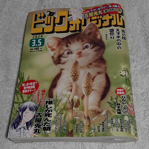 ビッグコミックオリジナル ２０２４年３月５日号 （小学館）