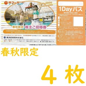 春秋限定東京サマーランド 1Dayパス パスポート4 枚の画像1