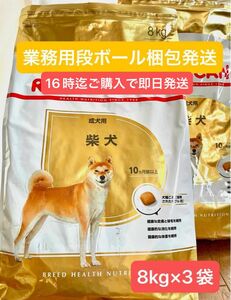 ロイヤルカナン柴犬成犬用8kg×3袋