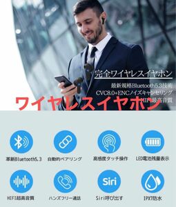 Bluetooth5.3 Hi-Fi Type-C急速充電 L