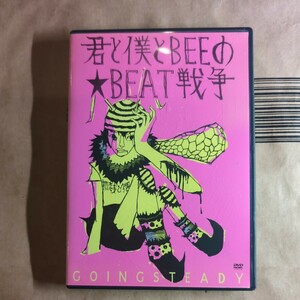 Going Steady「君と僕とbeeのbeat戦争」邦DVD 2003年★★ゴーイングステディ 銀杏 BOYZ ボーイズ