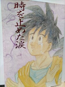 Dragon Ball Doujinshi, Tears Stop Time, Gohan x Goku, Goku x Gohan, Menea, MA Cat