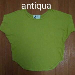 antiqua＊ドルマンTシャツ