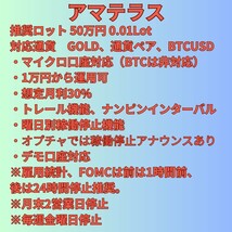 【超安定】【23年間ロスカットなし安定設定】完全放置EA　完全無料！マイクロ口座対応　安定した副収入　最強EA　アマテラス_画像4