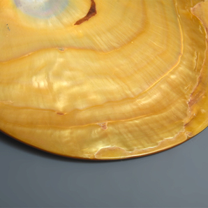 白蝶貝 デザートプレート ５客揃 径:18cm 総重量:1739g 銘々皿 懐石道具 自然貝 飾皿 食器 z7008tの画像9