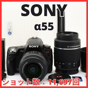 C04/5615B-8★極美品★ソニー SONY α55 ボディ SLT-A55 純正ダブルレンズキット ダブルズーム 【ショット数 11,697回】