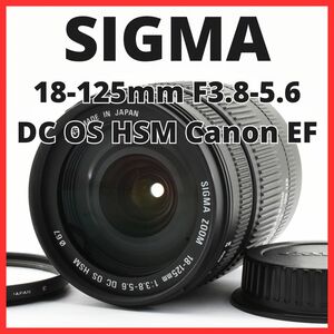 D25/5660A-4★美品★シグマ SIGMA AF 18-125mm F3.8-5.6 DC OS HSM キャノン Canon EFマウント用