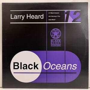 ★即決240422テクノ/ハウス Larry Heard / Black Oceans bm015 英オリジナル DMM刻印 