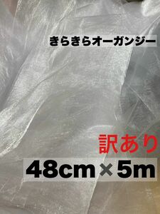 peco様【訳あり】オーガンジー生地【48×5m】ウェルカムスペース結婚式