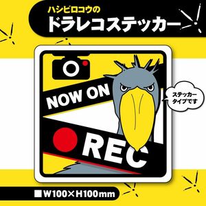 【ハシビロコウのドラレコステッカー】ドライブレコーダー カーステッカー 防犯ステッカー