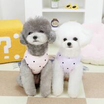 犬服　犬の服　ドッグウェア　ワンピース　S チュール　可愛い　シンプル　小型犬　パープル　ハート　ネイビー　おしゃれ　リードフック_画像2