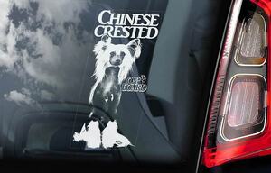 ◆チャイニーズ・クレステッド・ドッグ/チィリンコウ 外張り カーステッカー 220×100mm 外貼り カー ステッカー シール 犬 DOG@D2 3295
