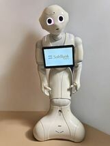 SoftBank pepper ペッパーくん ロボット_画像5