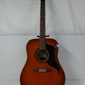 17529■EKO Guitars(イタリア製) アコースティックギター modello J.54 中古 ■の画像1