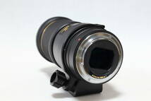 【美品】 TAMRON タムロン SP AF 180mm F3.5 Di LD [IF] MACRO1:1 マクロレンズ（キャノンEFマウント） + C P.Lフィルター付属_画像5