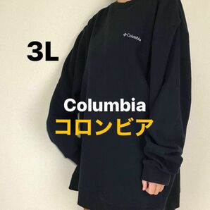 コロンビア Columbia クルーネック スウェット トレーナー ブラック 古着　シンプル　胸ロゴ刺繍　裏起毛　XXL 長袖