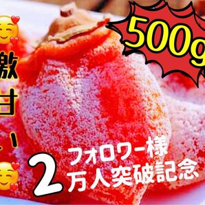 真空パック包装！肉厚でとてもジューシー　冷凍でもおいしい　訳あり　甘蜜特選干し柿500g