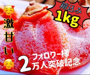 真空パック包装！肉厚でとてもジューシー　冷凍でもおいしい　大人気　訳あり　甘蜜干柿箱込み1kg