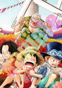 ▲ワンピース ONE PIECE▲美女ポスター A4サイズ 光沢紙 美少女 イラスト コスプレ グラビア 同人 アニメ 美乳 NONE0119