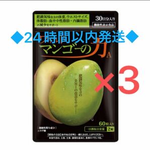 ワイルド マンゴーの力 (1袋で３種類の成分が取れます) 【60粒】30日分×3袋 《約3ヶ月分》◆24時間以内発送◆ 