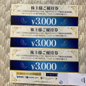 ビジョン 株主優待券3枚【9000円分】海外wifi/国内wifi/グランピング/温泉旅館/スキンケア 優待利用可 25年3月31日迄★通知対応可★VISION