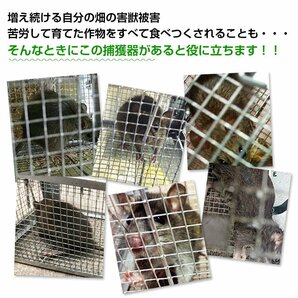 送料無料 捕獲器 踏み板式 Sサイズ 折りたたみ 全長62cm アニマル トラップ 動物 害獣 駆除 罠 ガード付き 軽量 庭 畑 農業 pt060-sの画像7